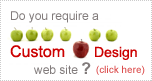 custom website design